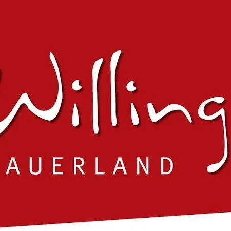 Penthaus-blick Willingen (Upland)