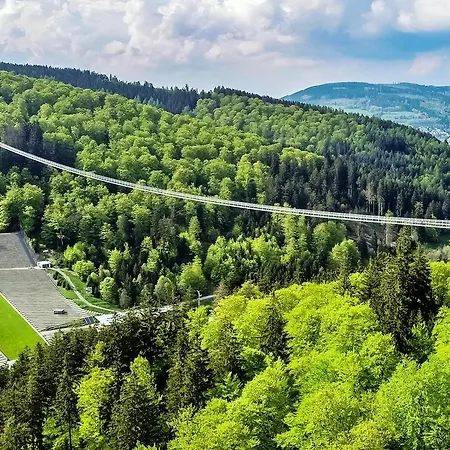 Penthaus-blick Willingen (Upland)