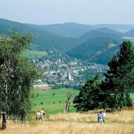Penthaus-blick - Im Zentrum Willingen (Upland)