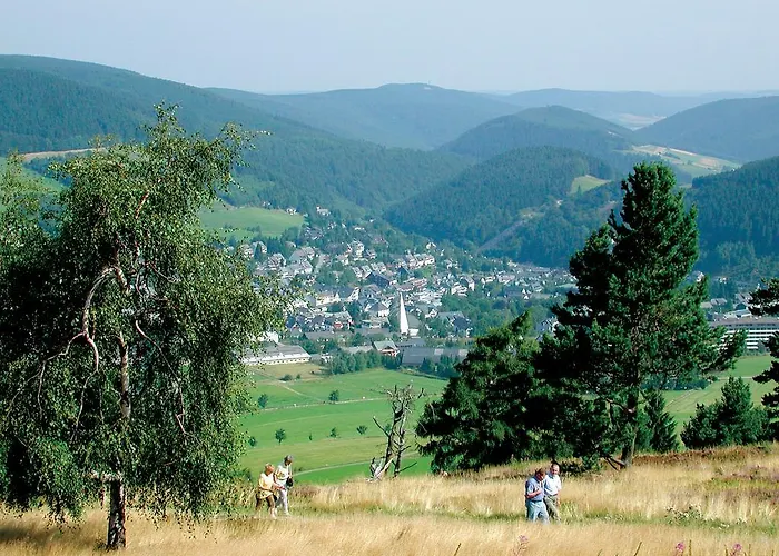 Penthaus-blick Willingen (Upland)